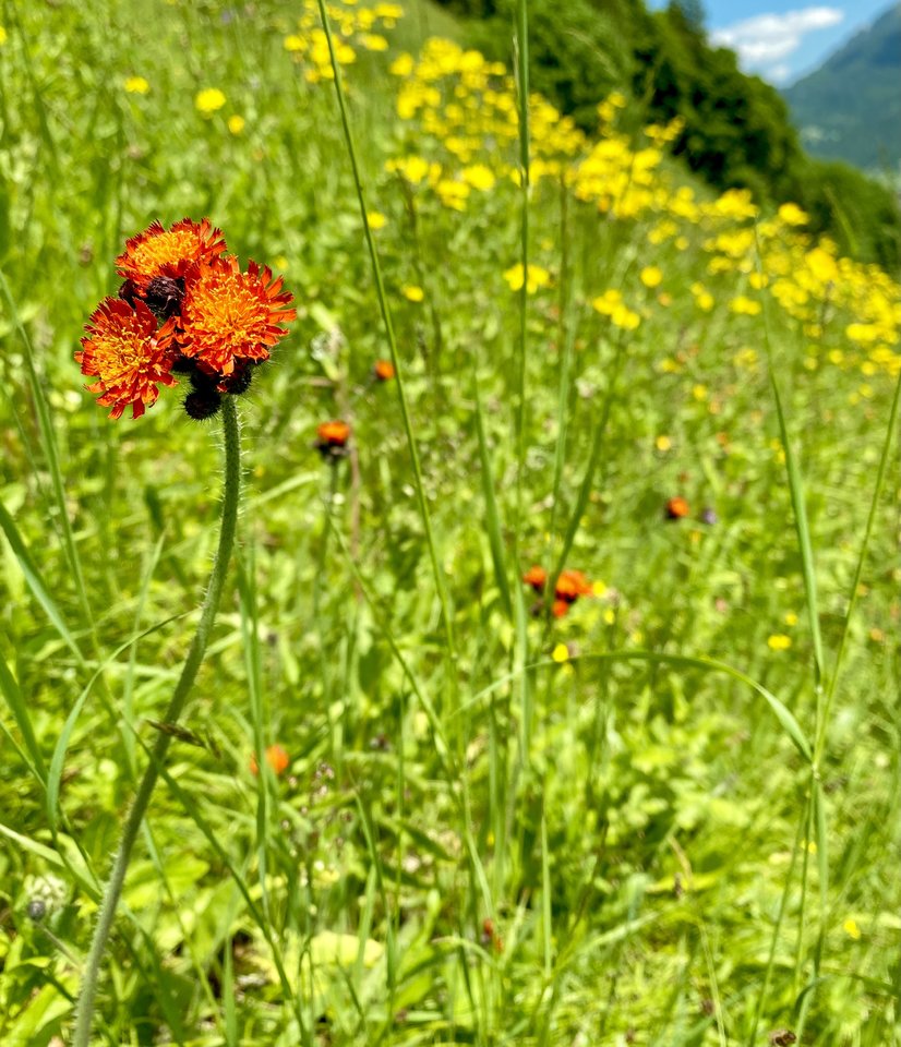 088304D0-9BDF-4D5B-98DF-96511F4023F7.jpeg