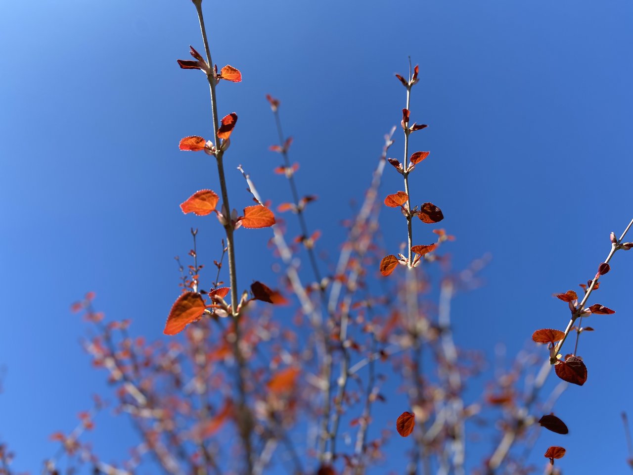 0941A704-B8F2-47E8-BA96-493F3BA1794A.jpeg