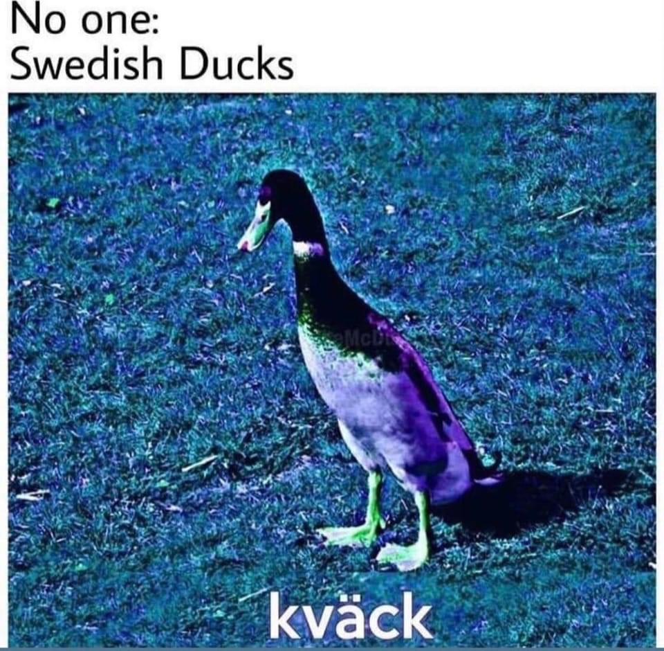 0F1AE90A-8EA0-4368-B4F1-1332BF719A1B.jpeg