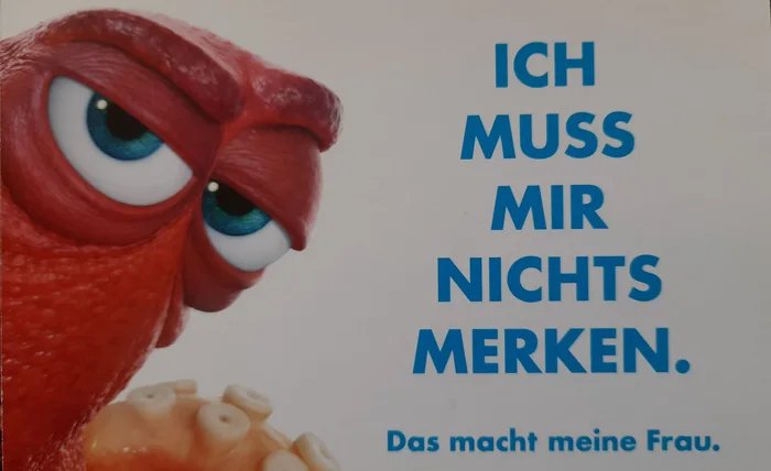 100-aller-Mnner.jpg