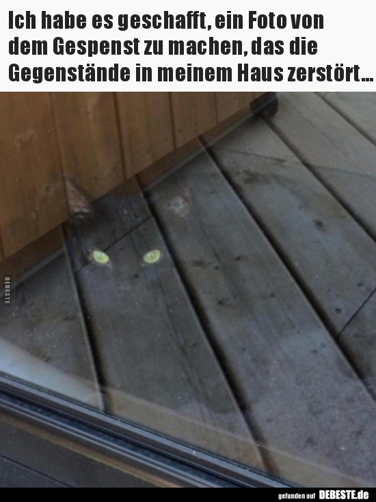 1000009789.jpg