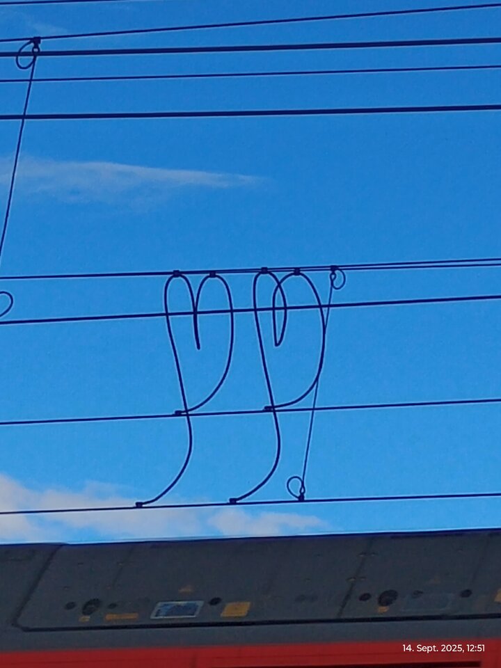 1000021341.jpg