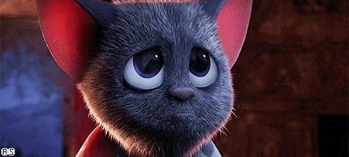 1000024093.gif
