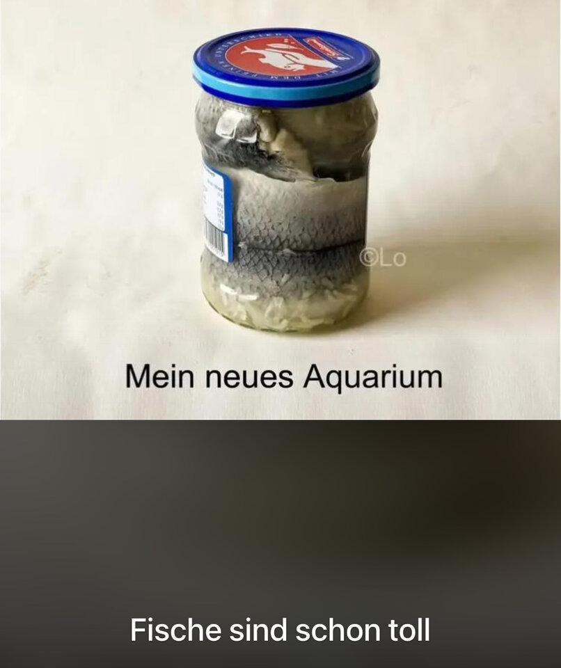 1000025732.jpg