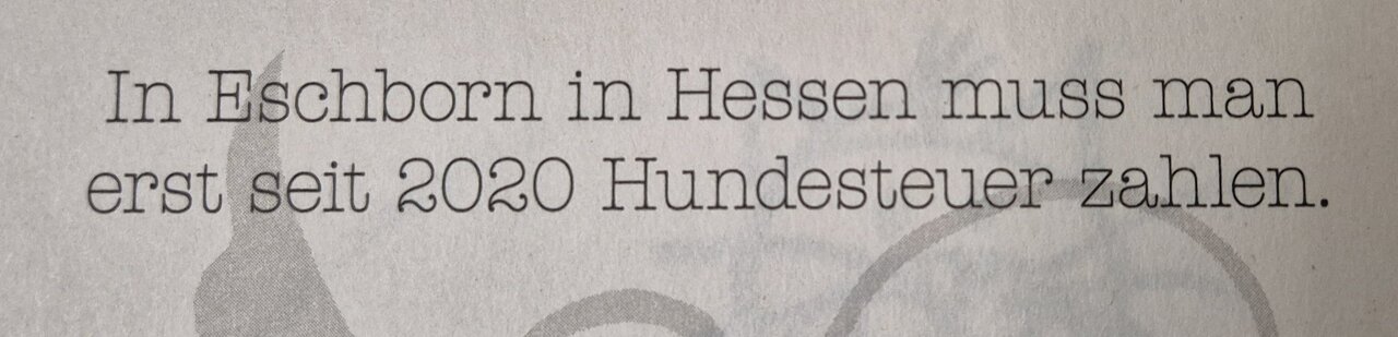 1000025840.jpg