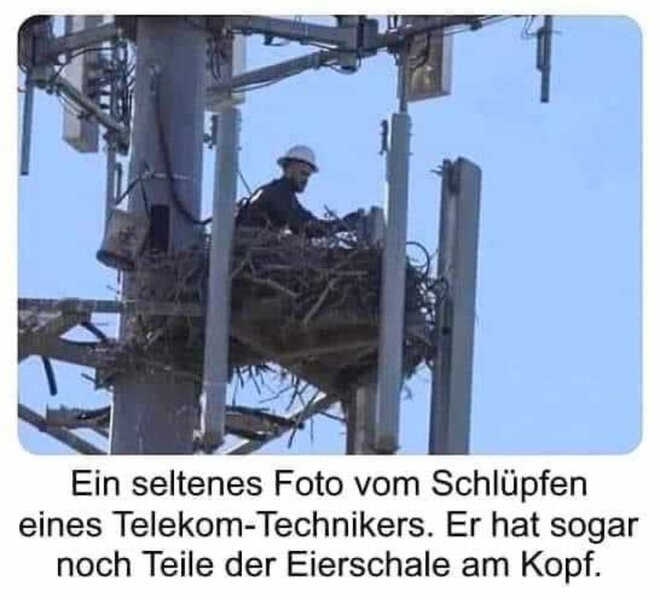 1000027215.jpg