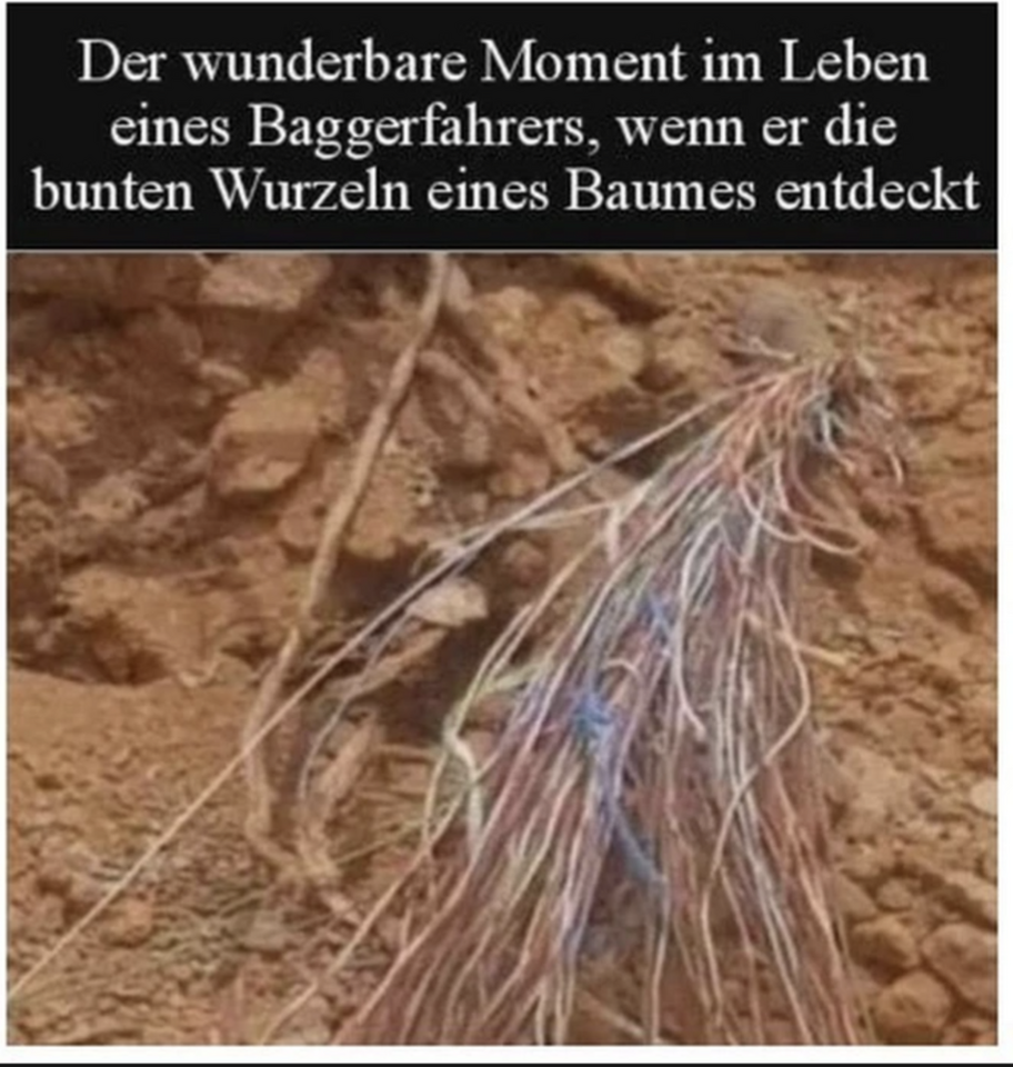 1000027907.png