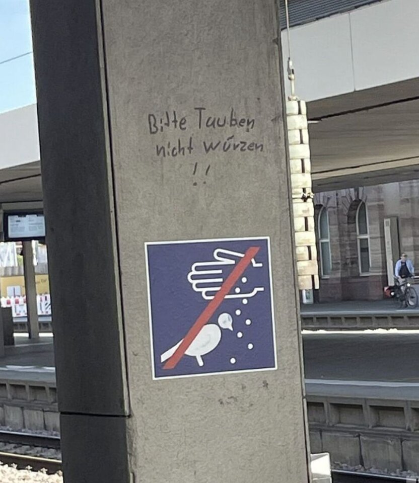 1000027944.jpg