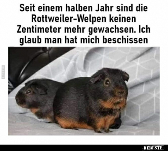 1000028523.png