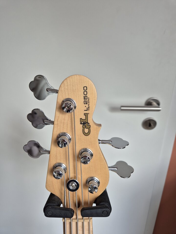 1000028600.jpg