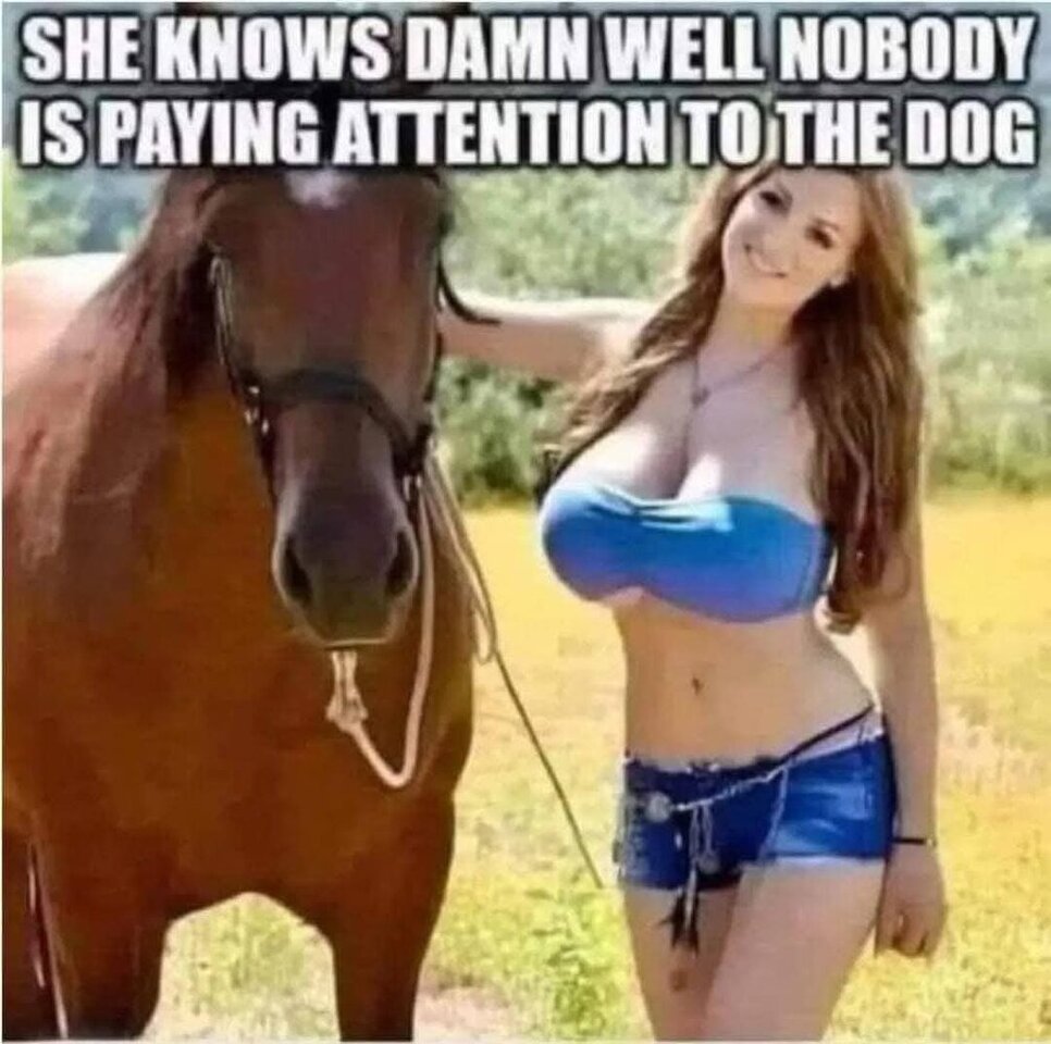 1000030230.jpg