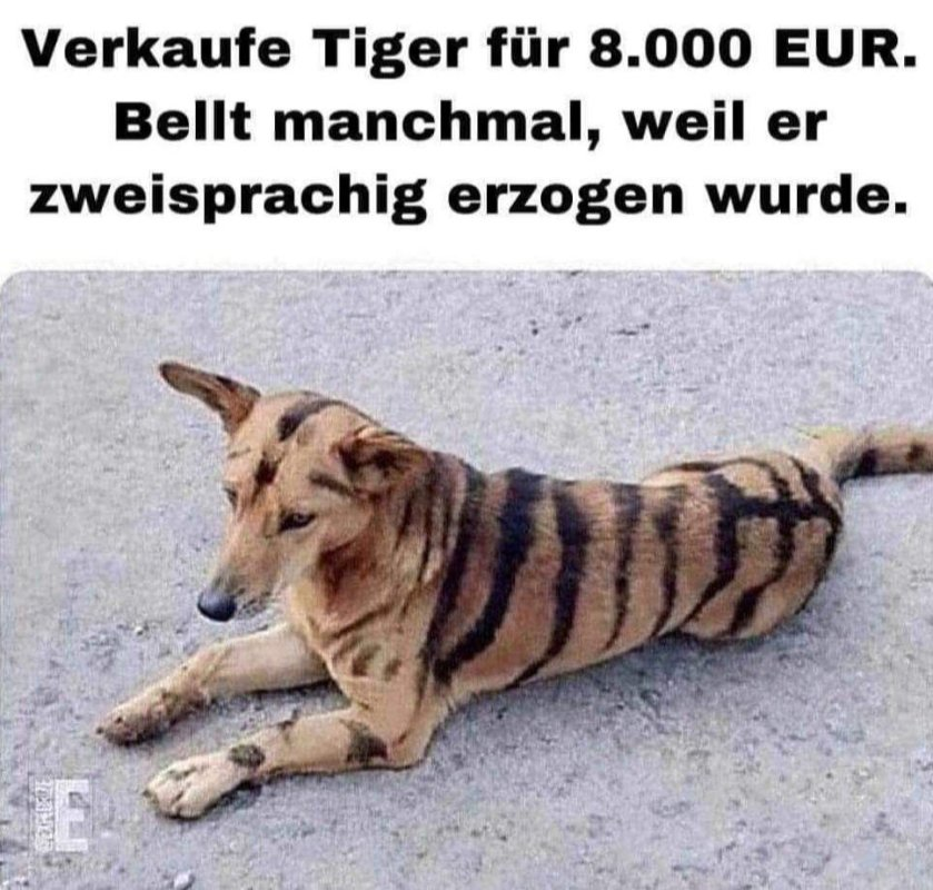 1000030941.png