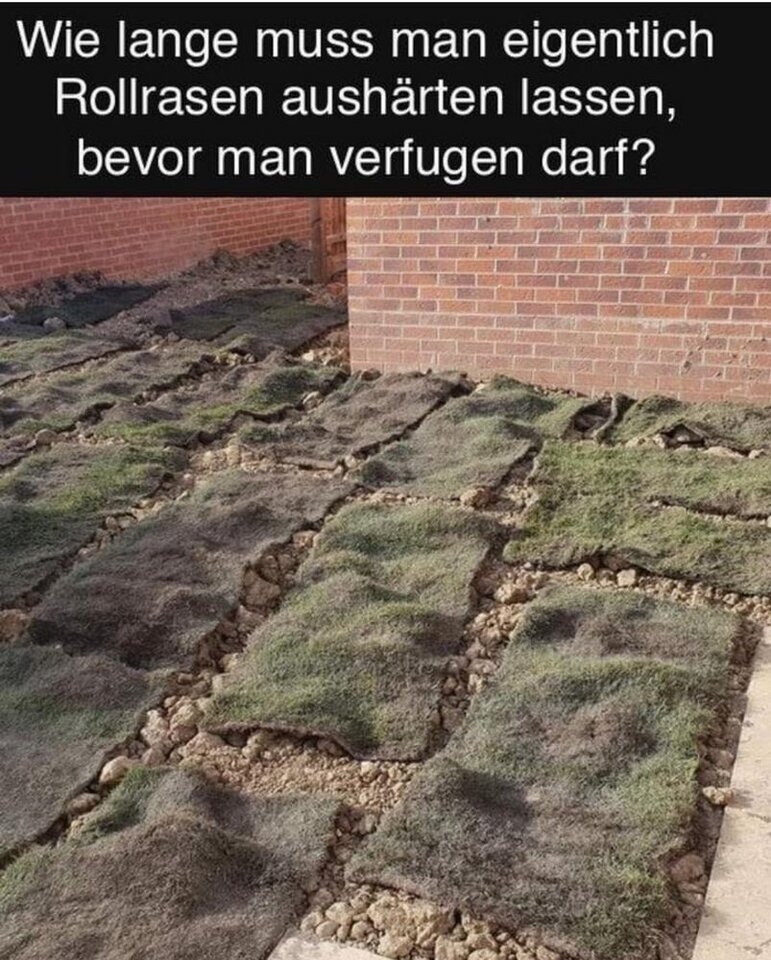 1000031122.jpg