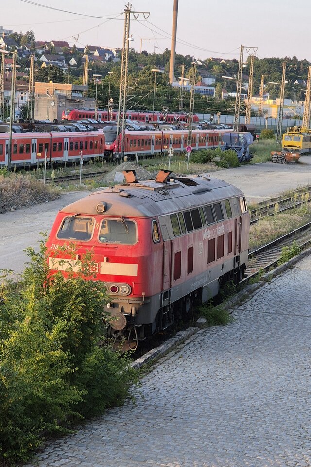 1000031736.jpg