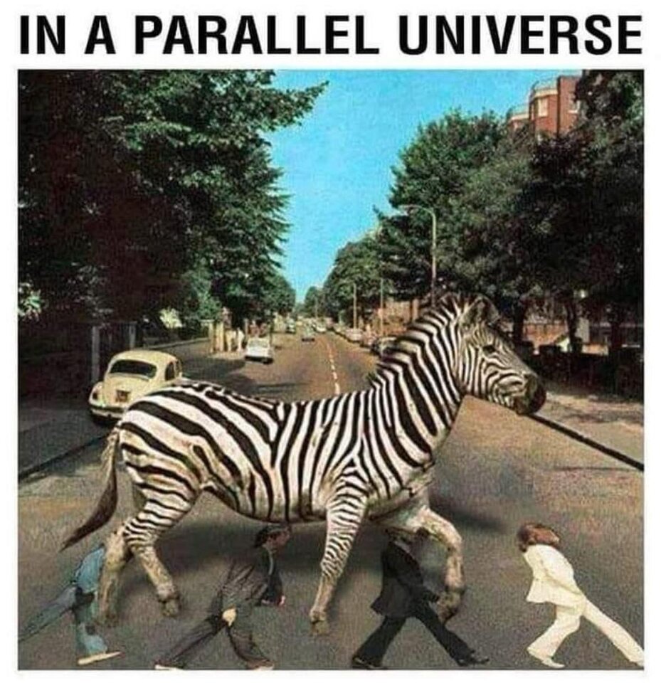 1000031887.jpg