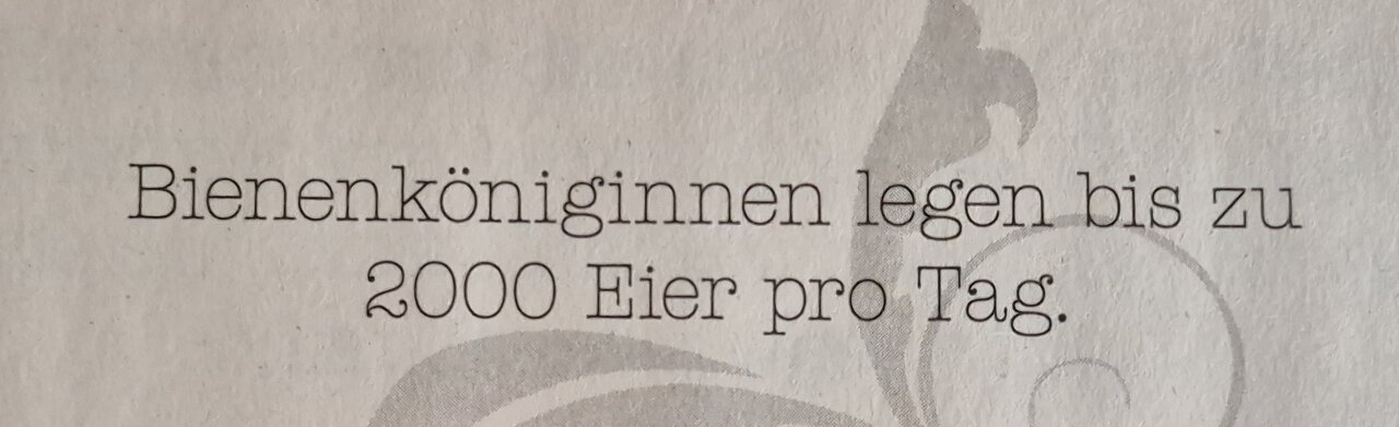 1000035166.jpg
