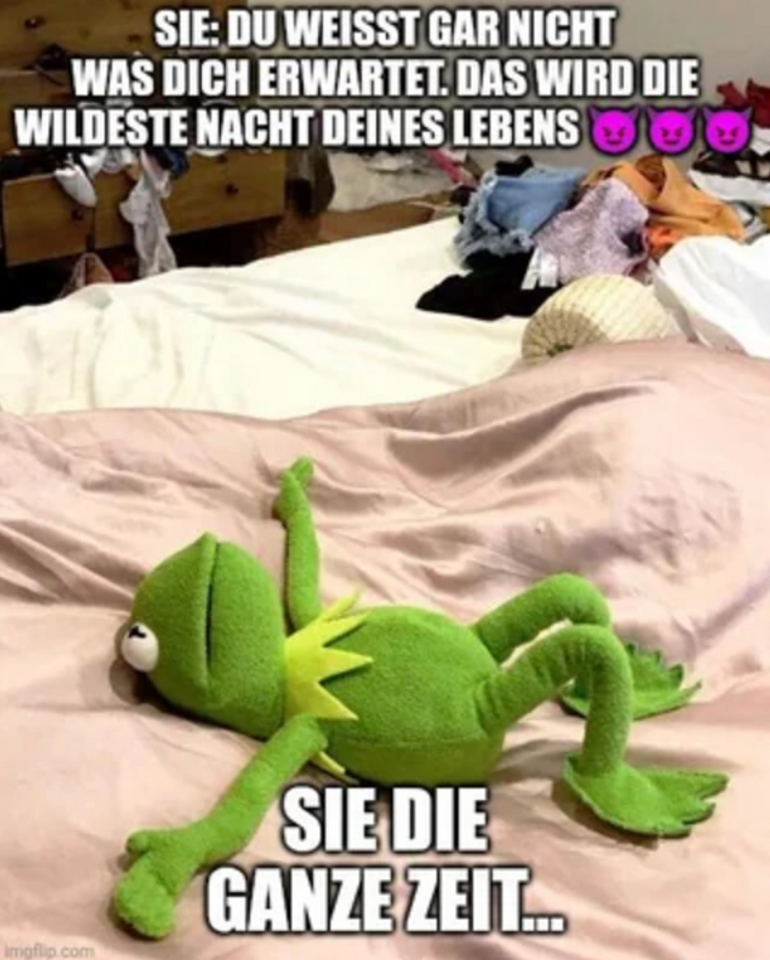 1000037512.png