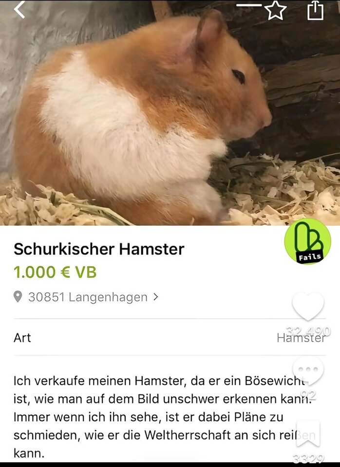 1000038381.jpg