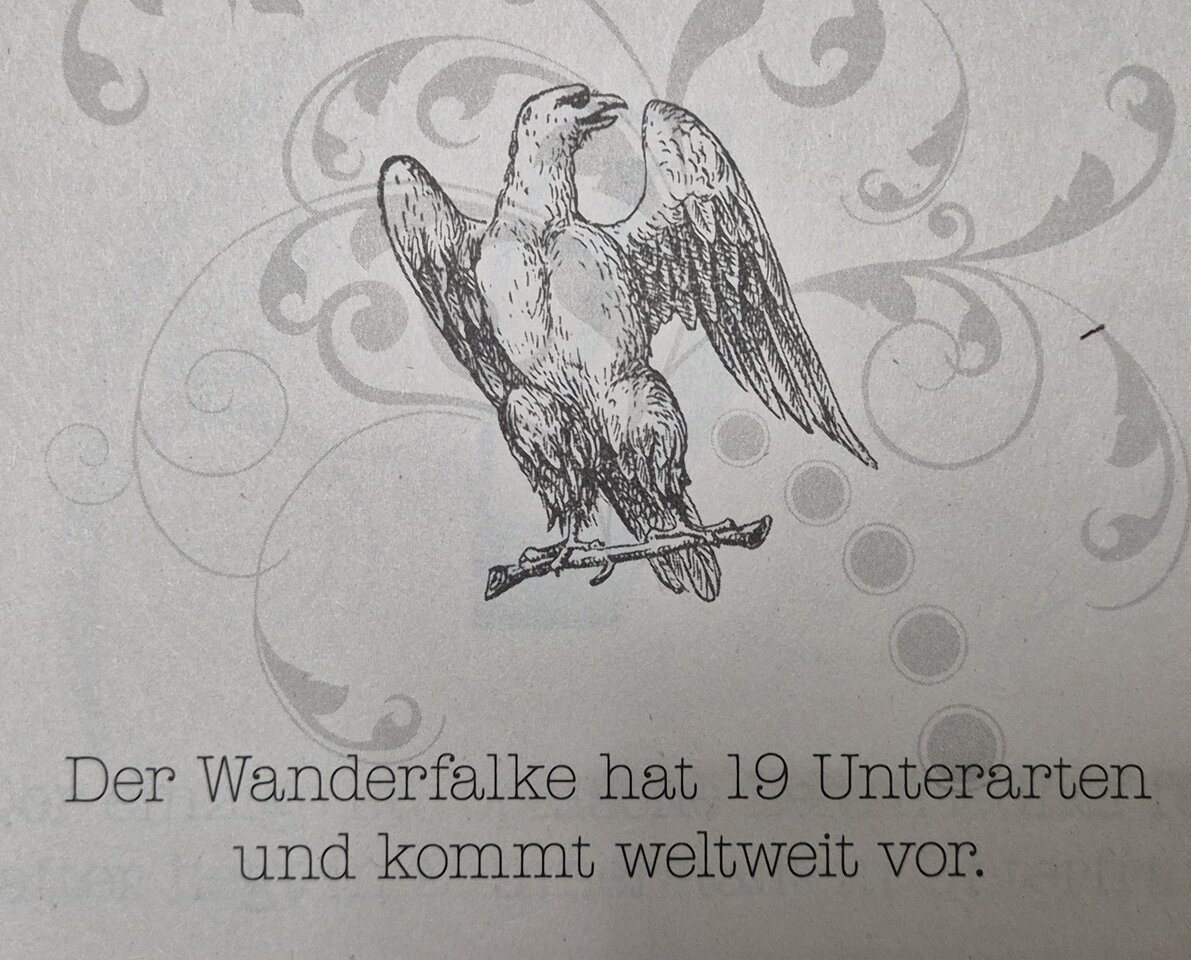 1000038910.jpg