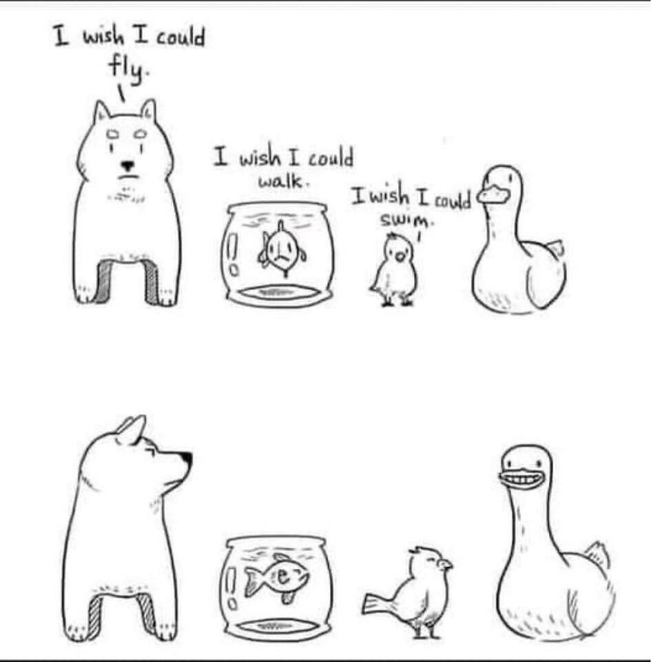 1000039094.jpg