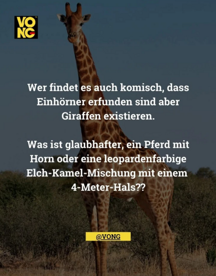 1000039763.png