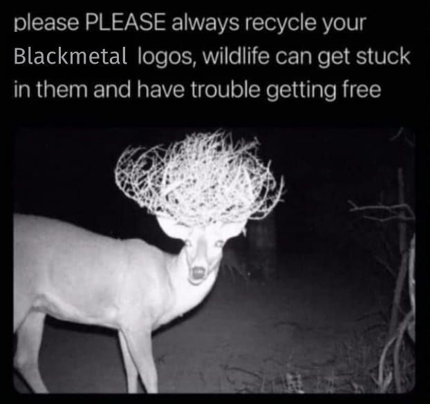 1000058815.jpg