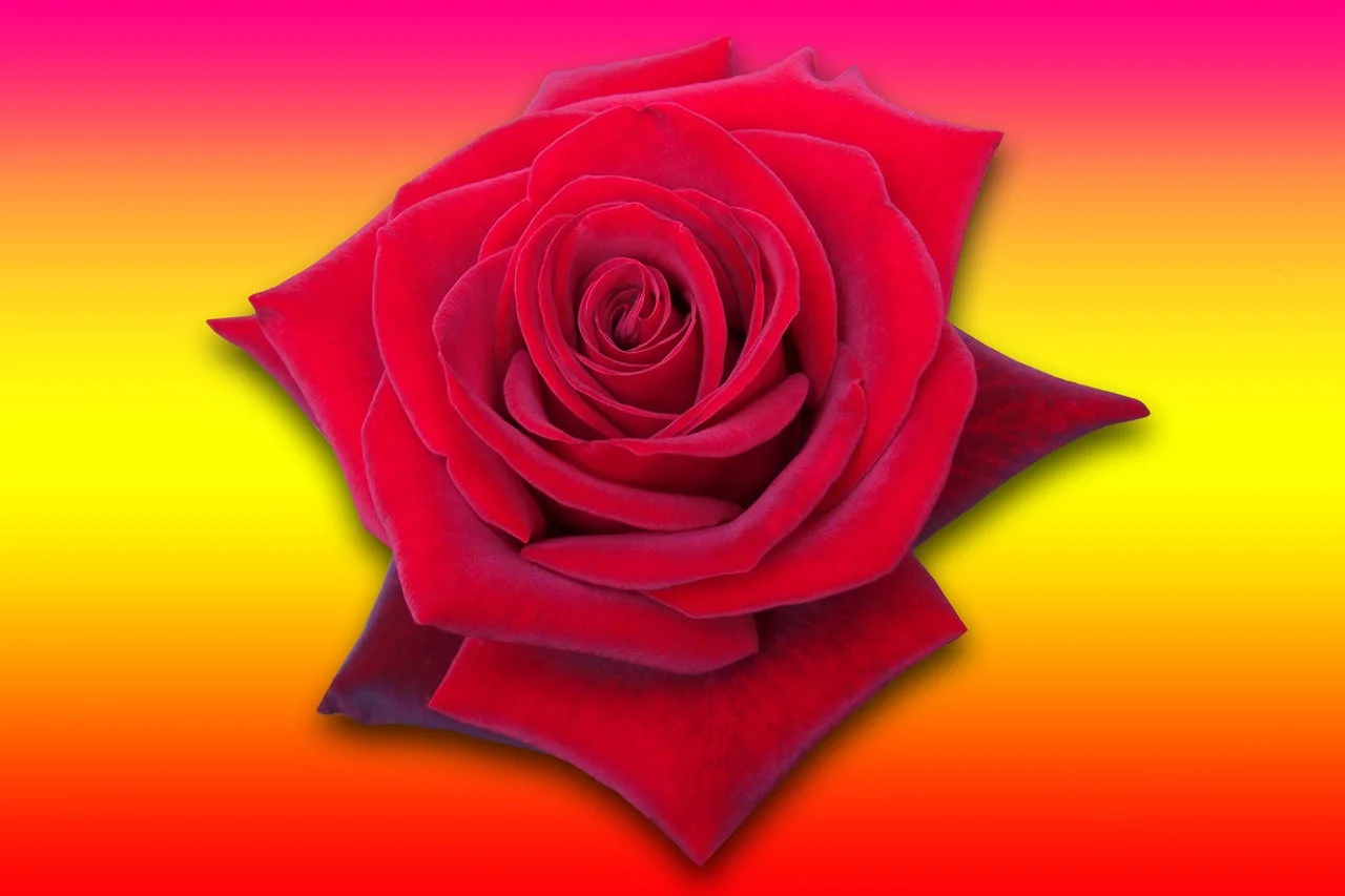 100_1879_7 Kopie.webp