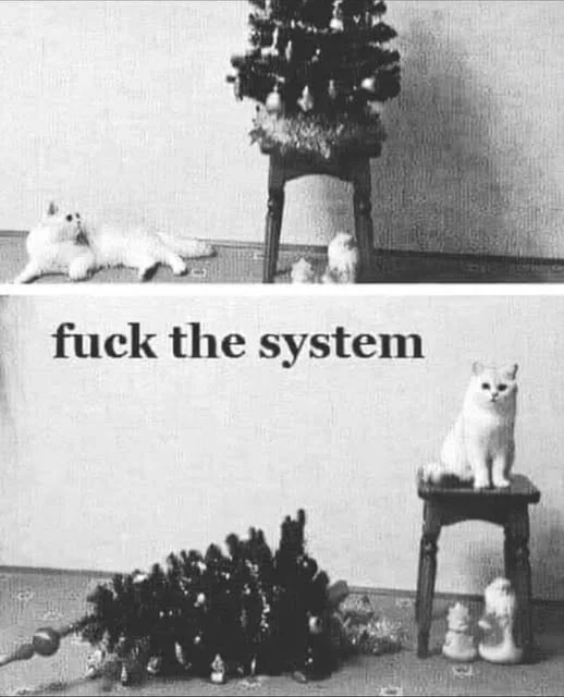 11 cat and tree.webp