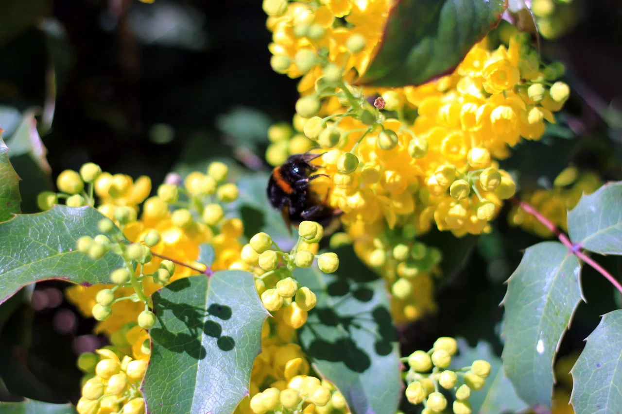 11042018_EOS500 041.webp