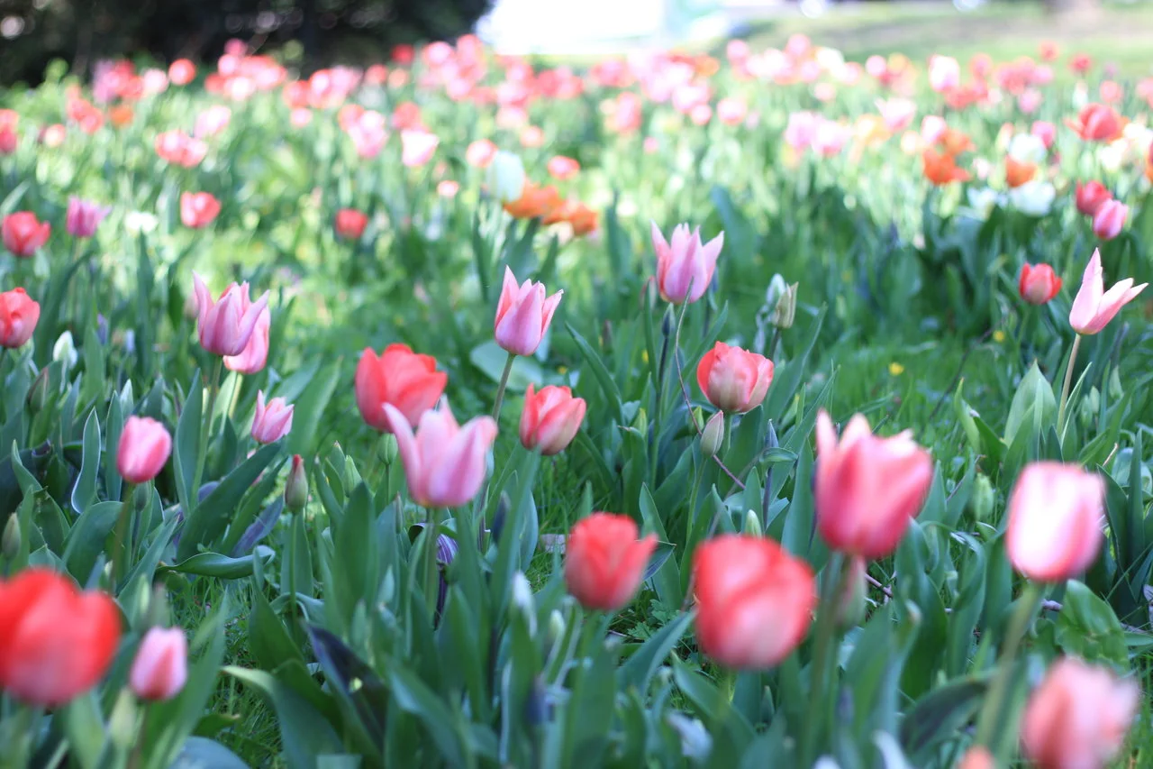 11042018_EOS500 059.webp