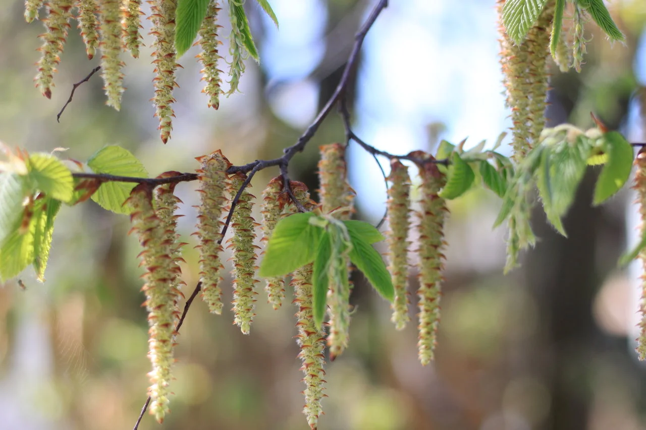 11042018_EOS500 081.webp