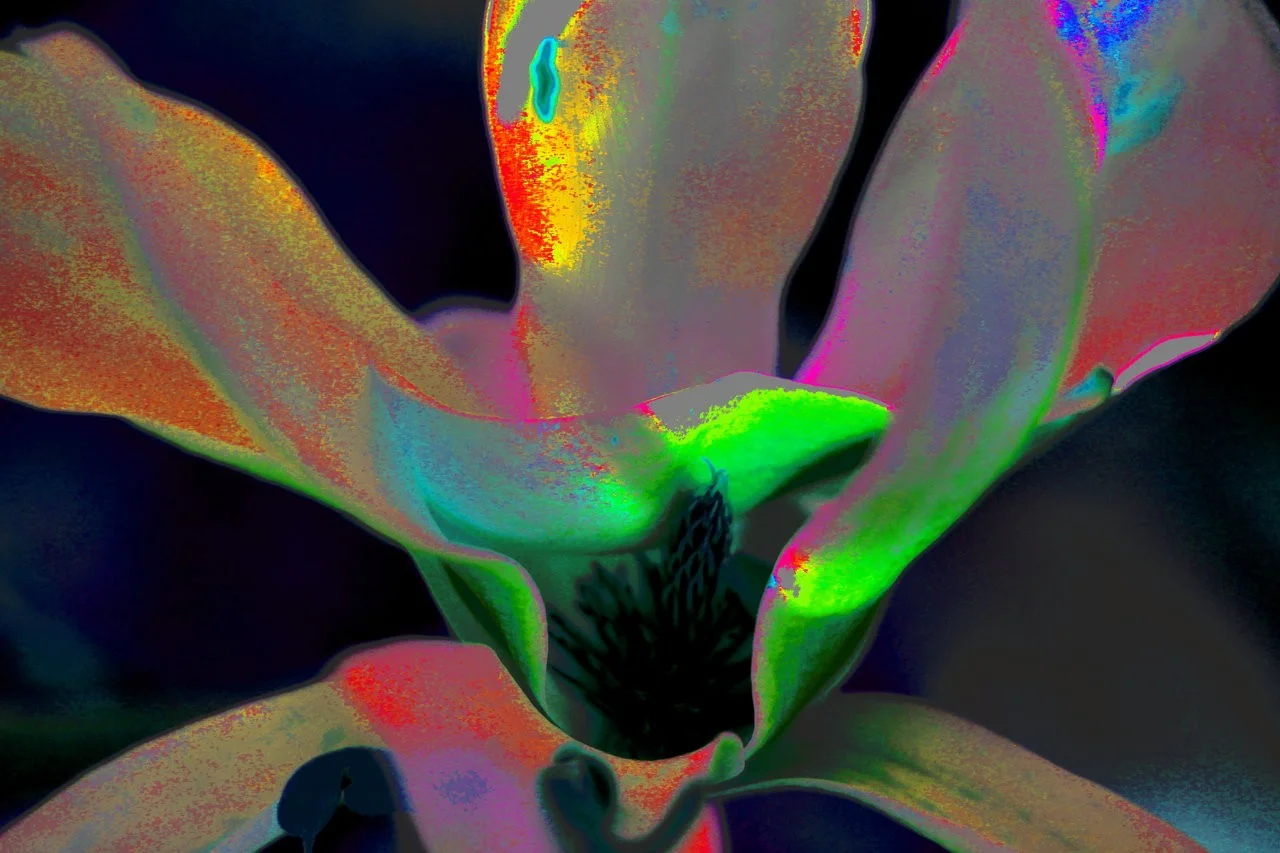 11042018_EOS500 085_1.webp