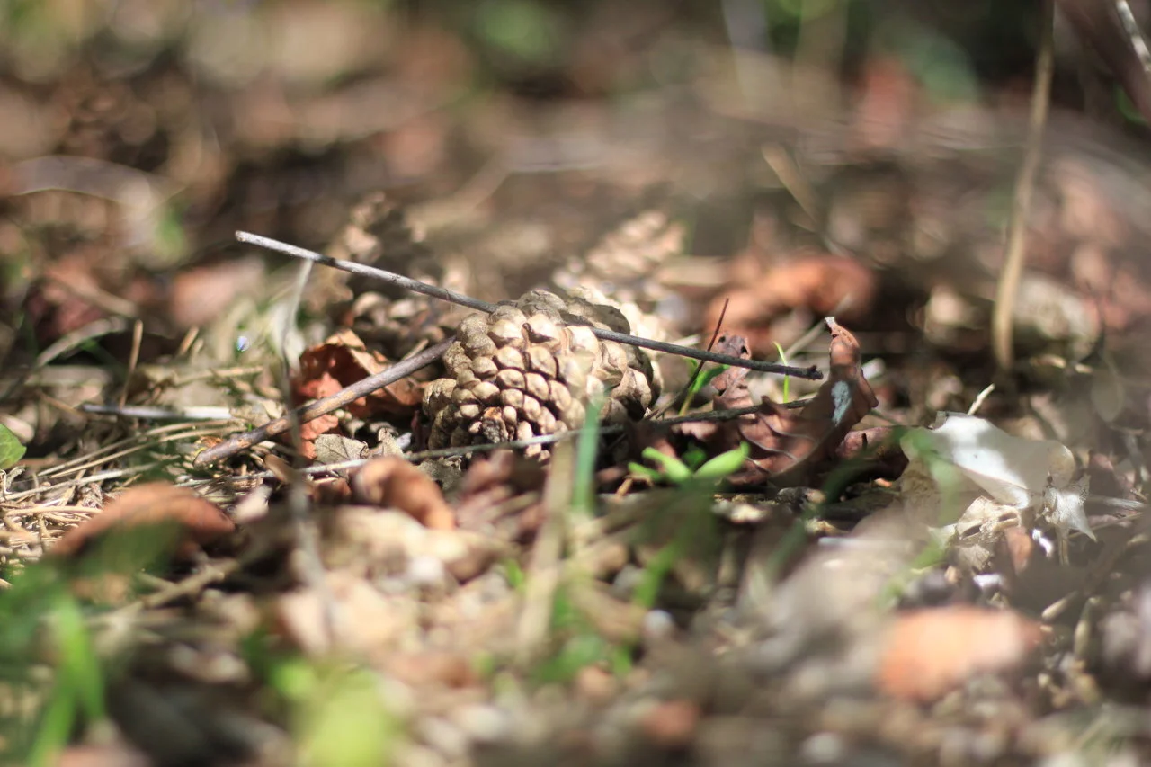 11042018_EOS500 093.webp