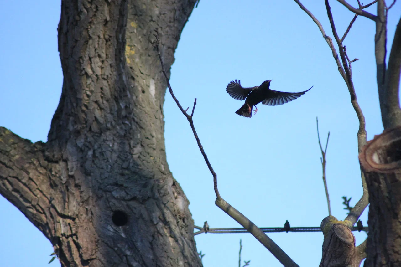 11042018_EOS500 311.webp