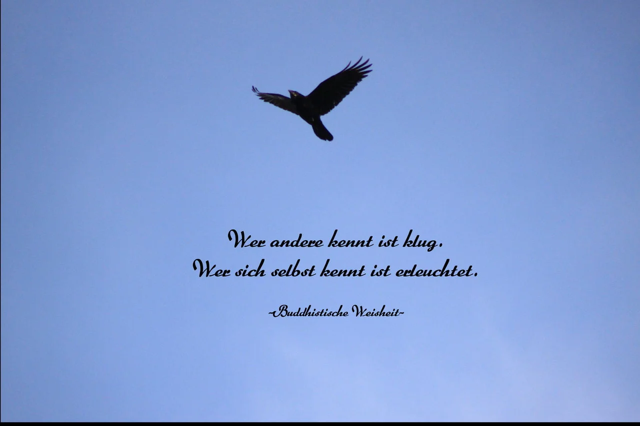 11042018_EOS500 633_1.webp