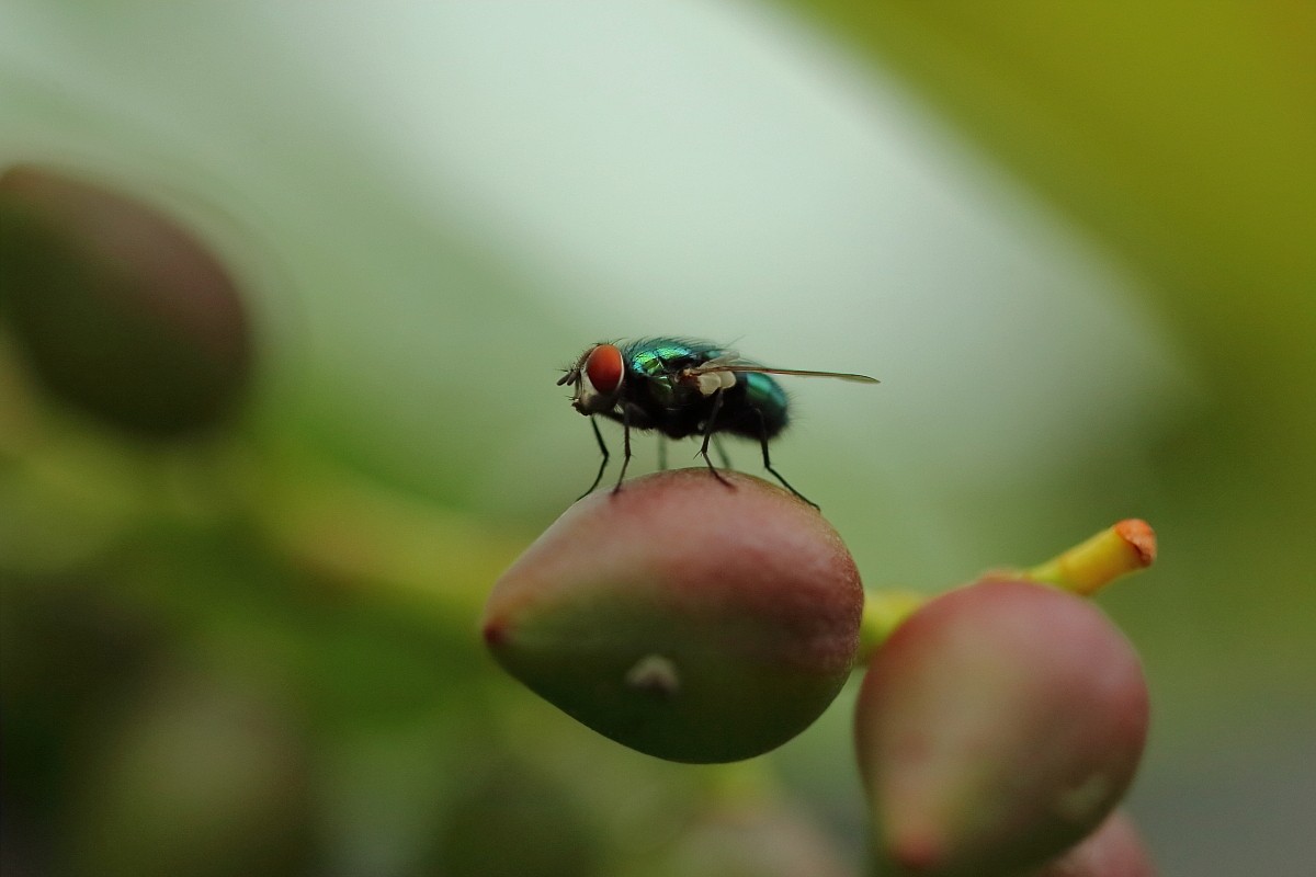 12062018 134_1.JPG