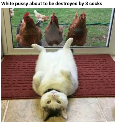 1566217533600.png