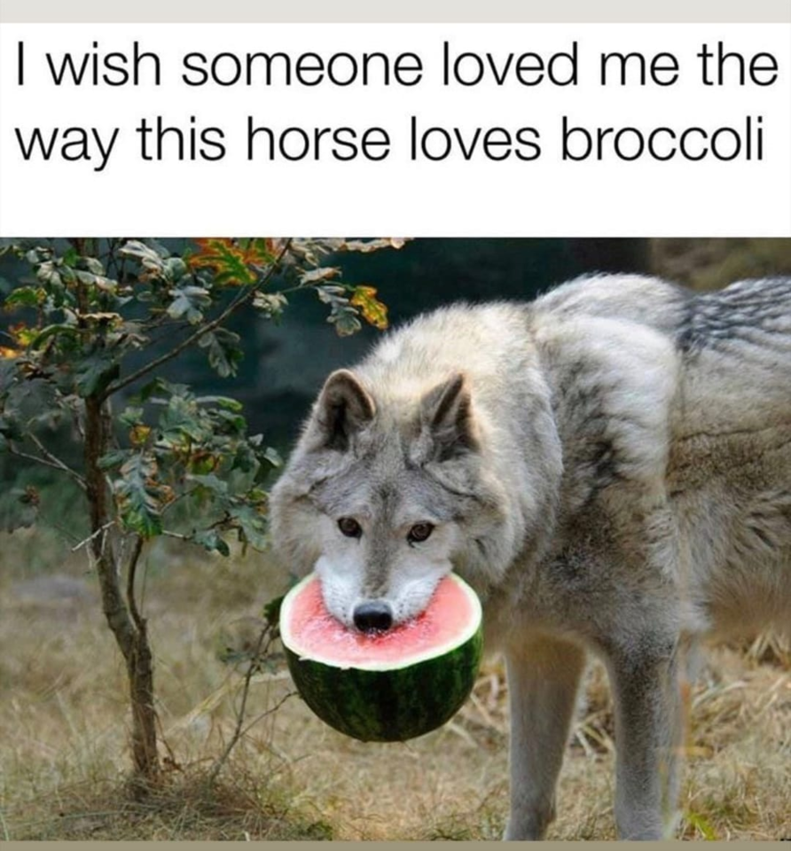 1566220072941.png