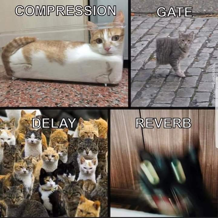 1566292923367.png