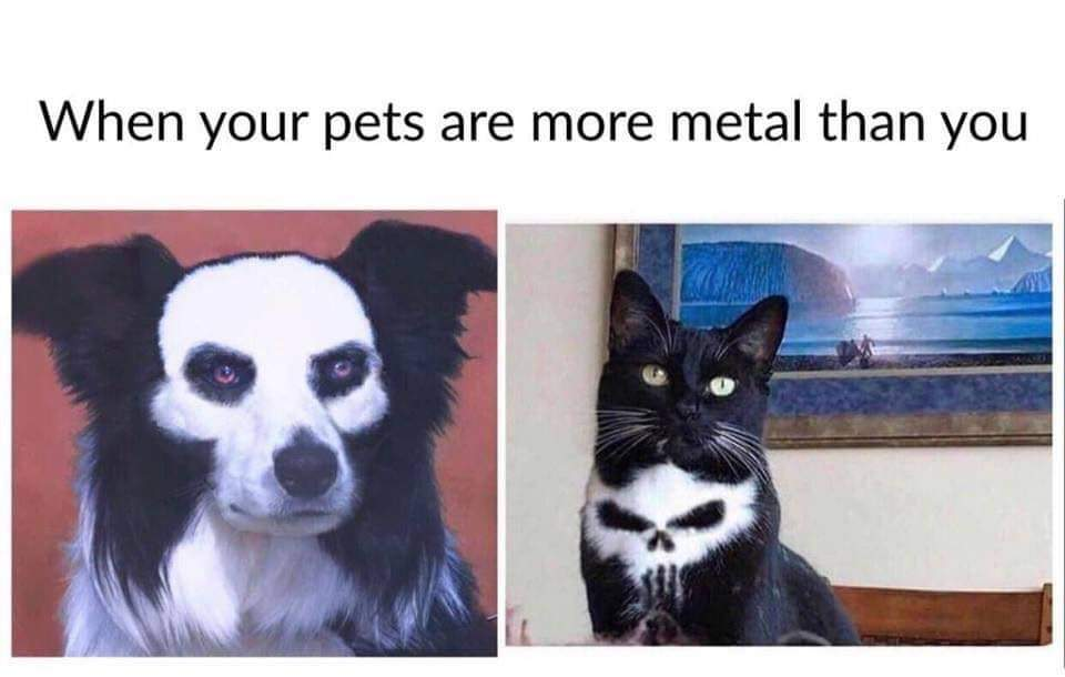 1568031019643.png