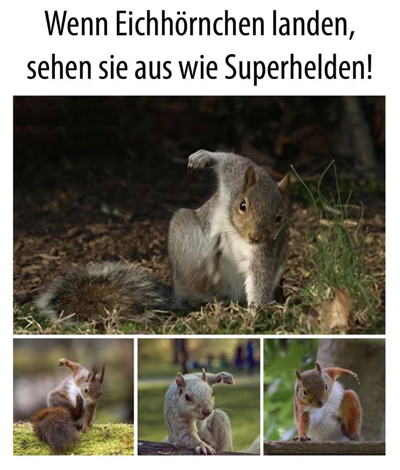 1573835999882.png