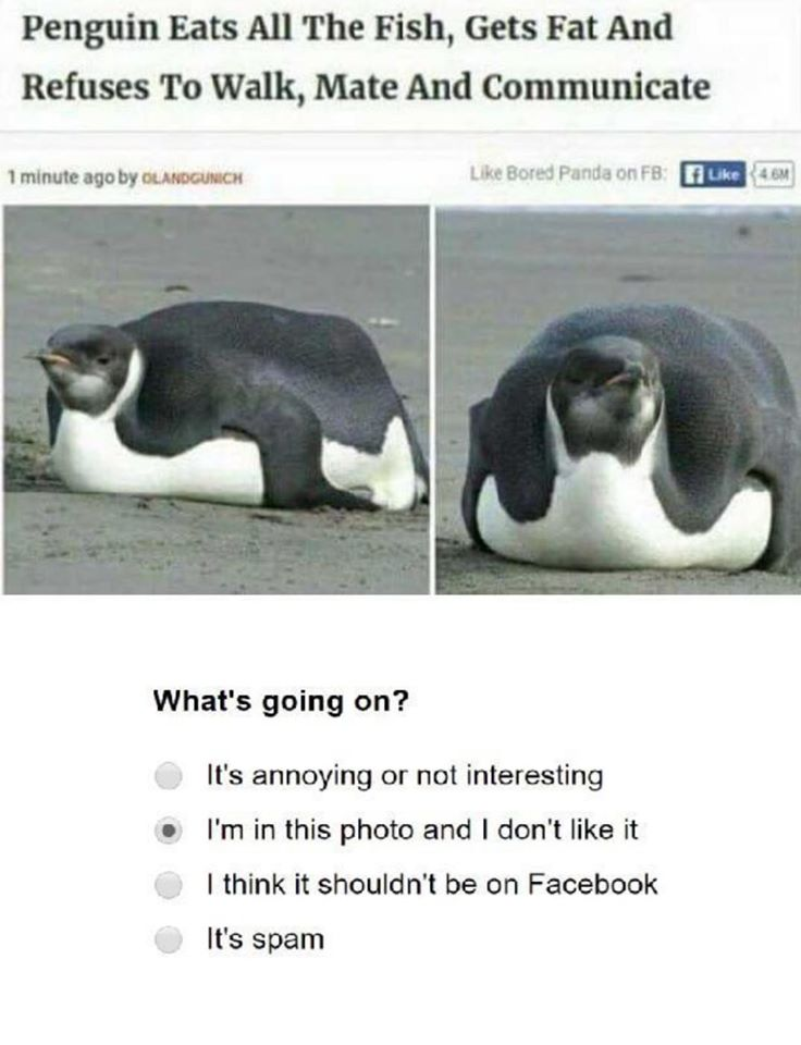 1574068541179.png