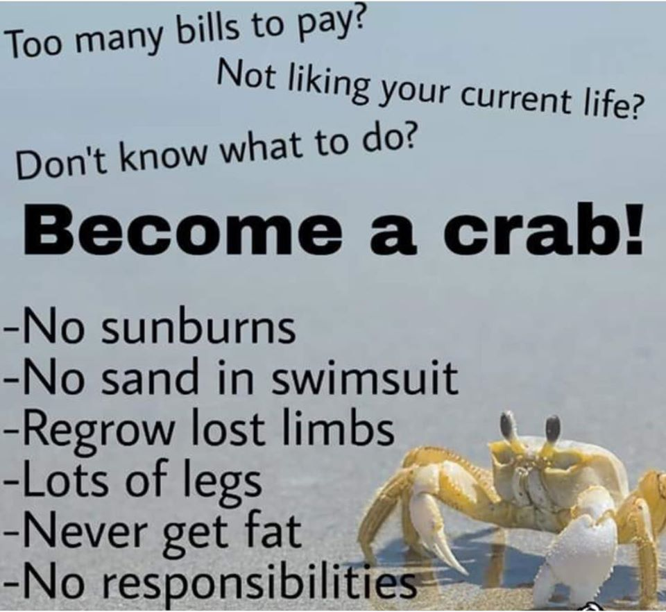 1575454985305.png