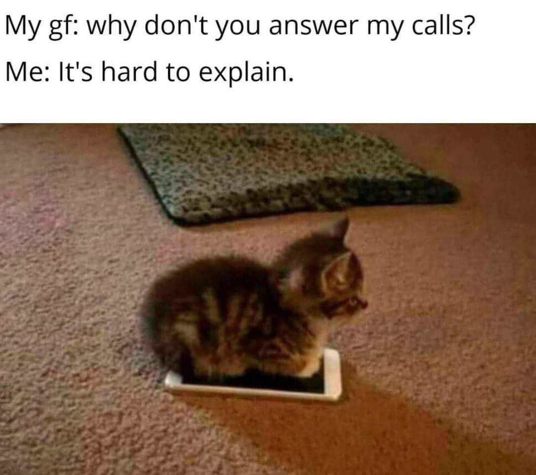 1575882254761.png