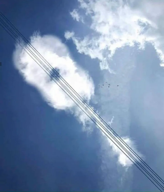 1575982165570.png