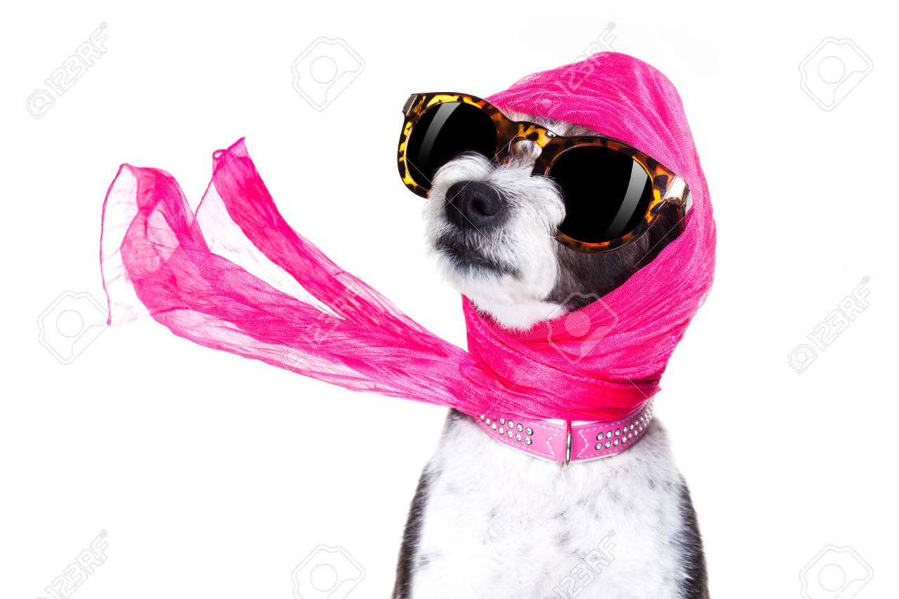1576230099184.png