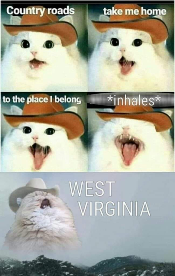 1576232218499.png