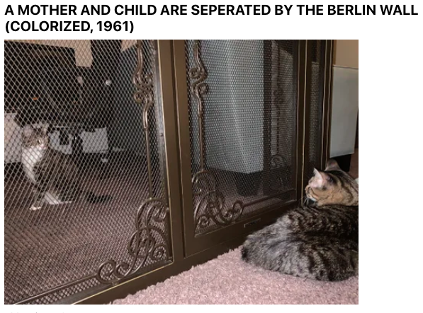 1579160570987.png