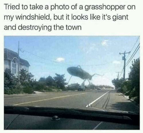1581435485115.png