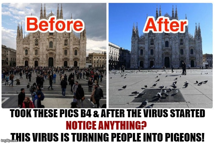 1585214223739.png